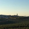 Vista paisajista (2)